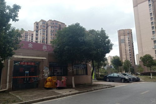 民樂城惠益新苑北苑 居住體驗(yàn)與周邊房產(chǎn)市場觀察