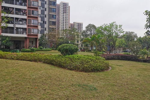 中惠松湖城深度解析 樓盤優(yōu)勢、不足與周邊中介評價(jià)指南